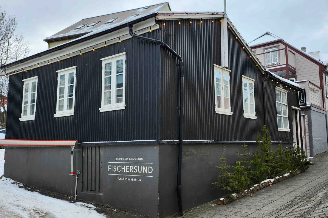 Discovering Fischersund: A Family-Run Beacon of Icelandic Aesthetics
