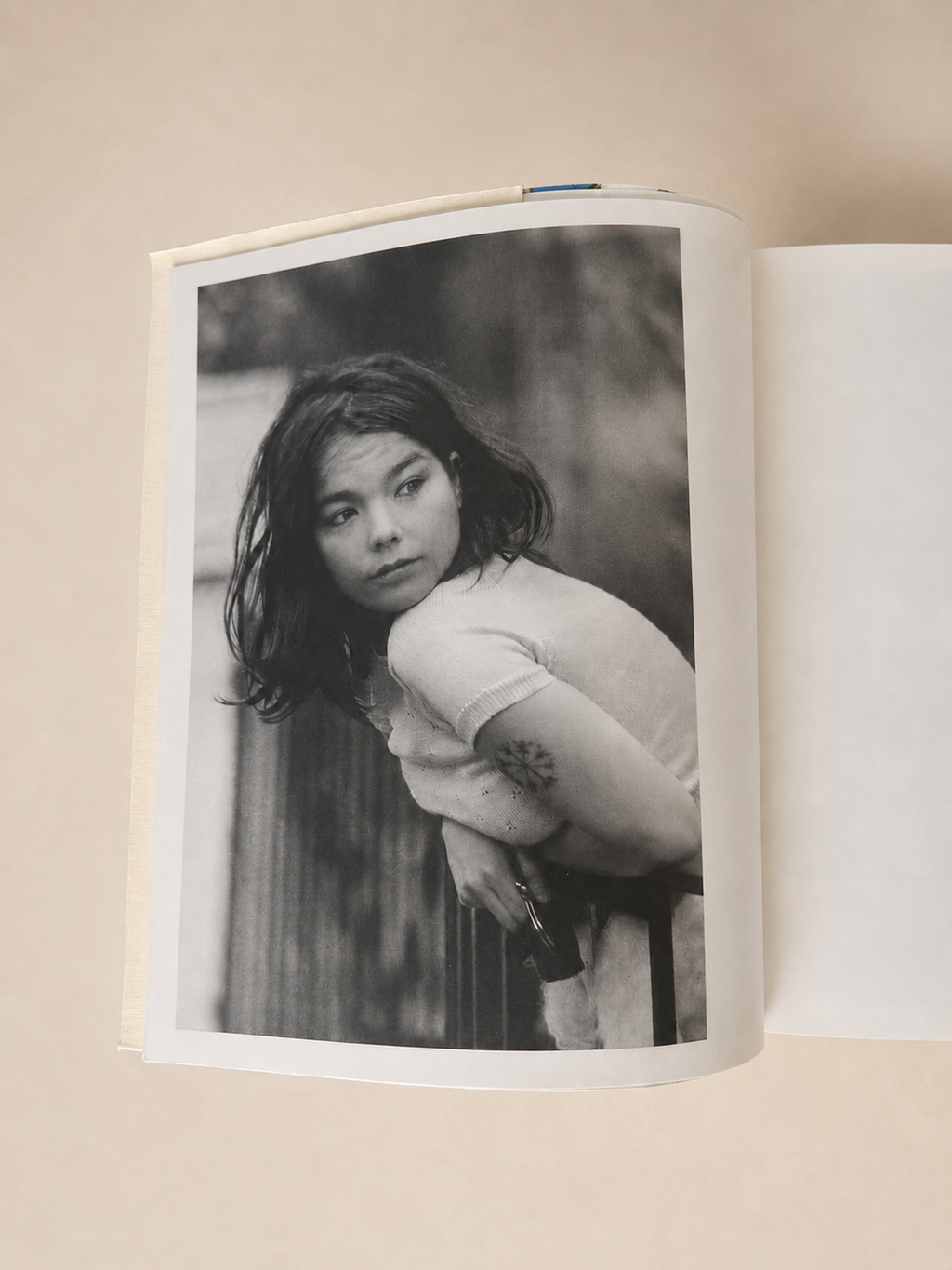 Björk — A Project by Björk, 2001