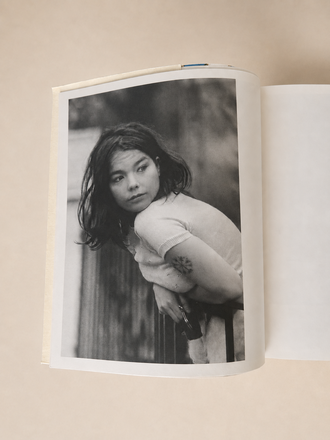 Björk — A Project by Björk, 2001